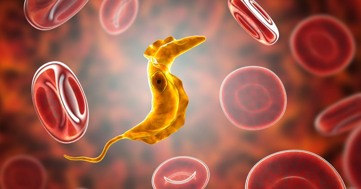 Bolstered by Millions in Federal Funds, Kephera Planning Menu of